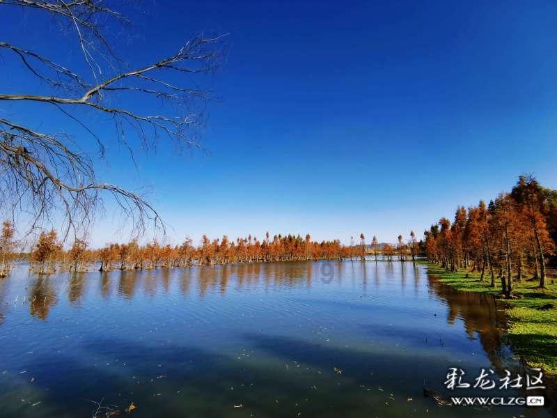 肖战GUCCI合作历程:这就是“破界跨界闯世界”的顶流范儿