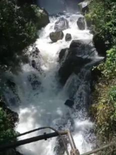 逃出绿色公寓
